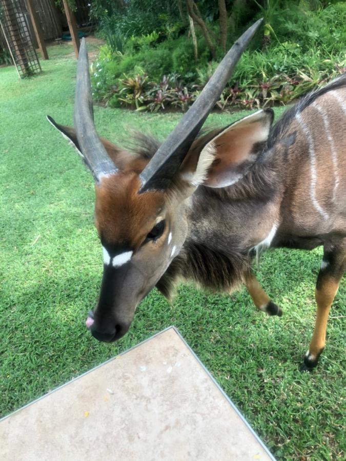 Jock Of The Bushveld Hotel Barberton Exterior foto