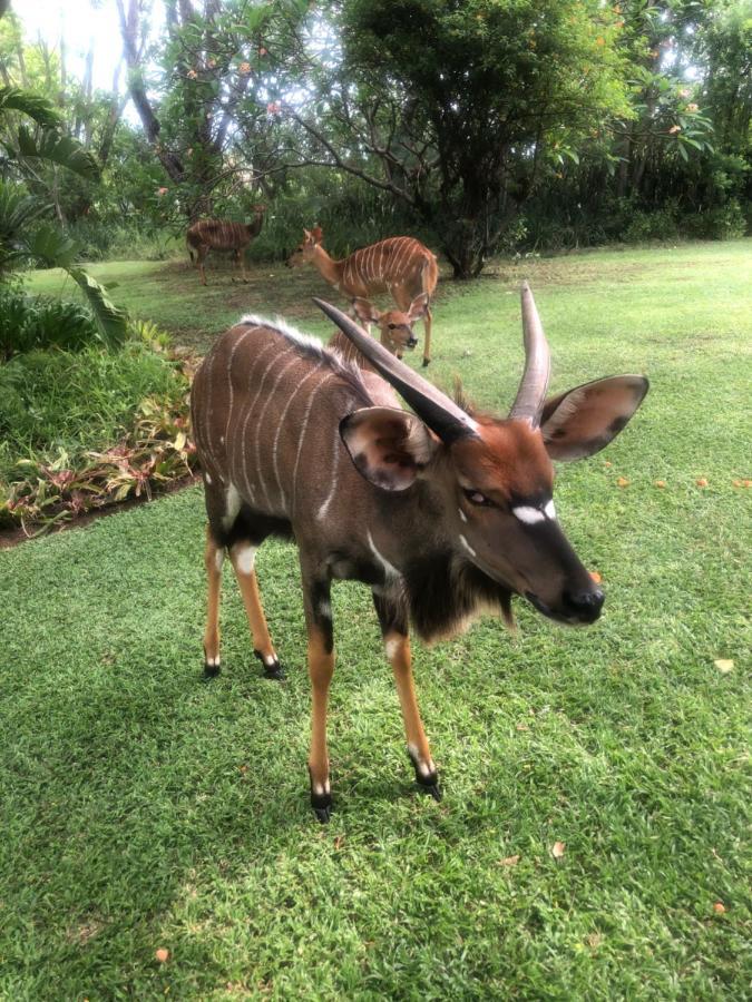 Jock Of The Bushveld Hotel Barberton Exterior foto