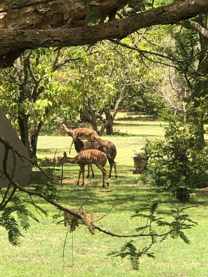 Jock Of The Bushveld Hotel Barberton Exterior foto